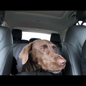 Meet your Posher, Julita